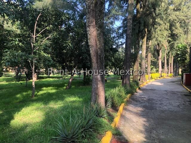 place photo 41