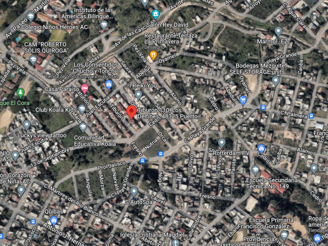 place photo 9