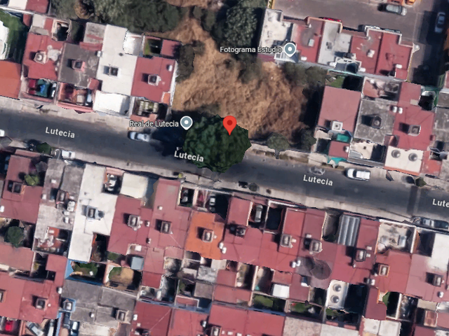 place photo 3