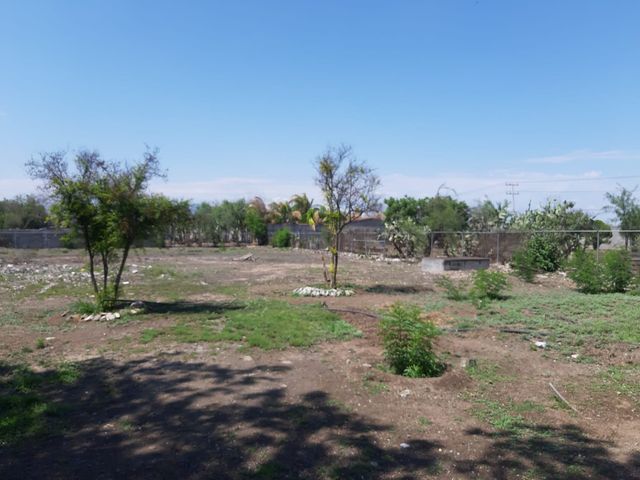 place photo 19