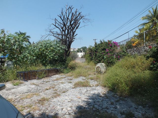 place photo 3