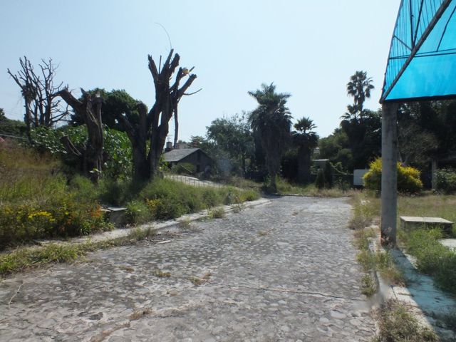 place photo 13