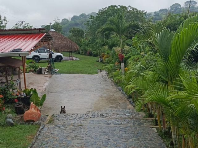 place photo 30