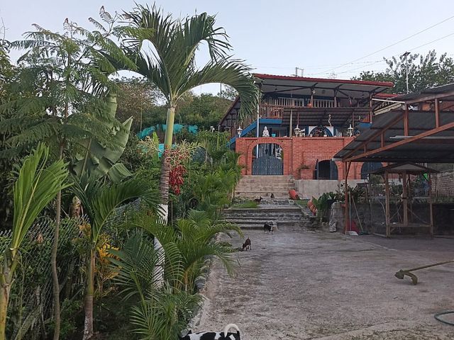 place photo 34