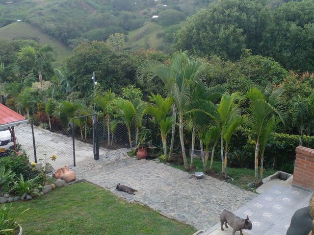 place photo 47