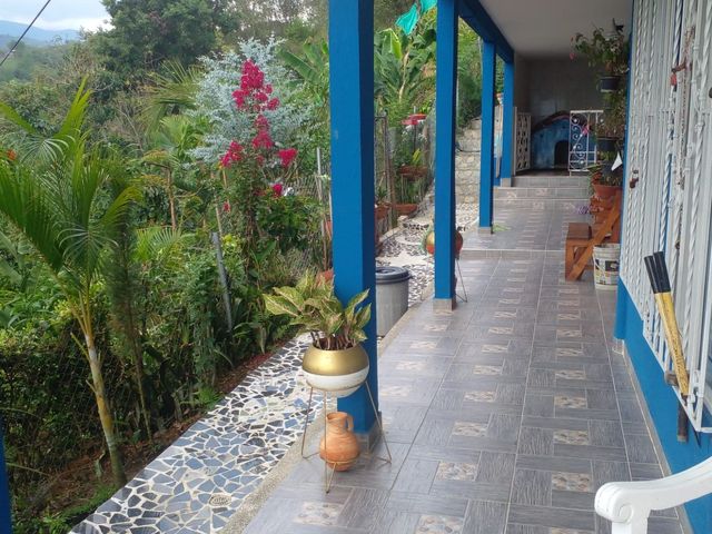 place photo 46