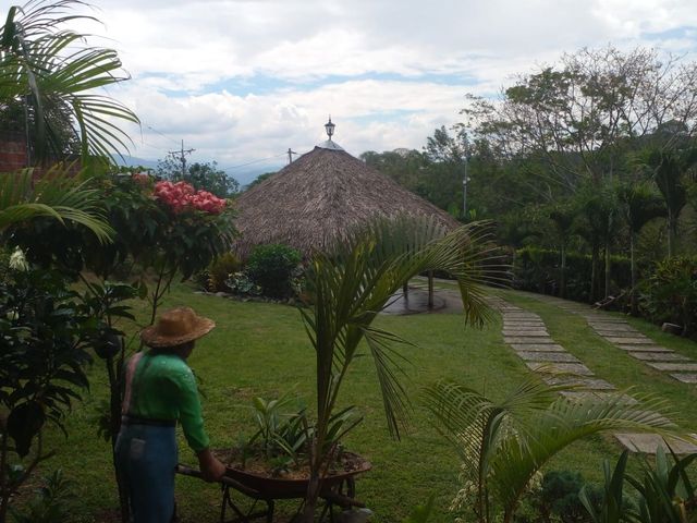 place photo 49