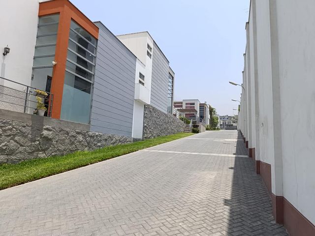 place photo 43