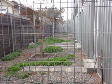 place photo 60