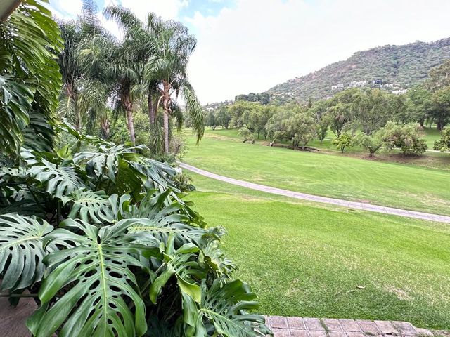 place photo 54