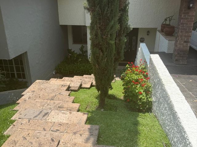 place photo 42