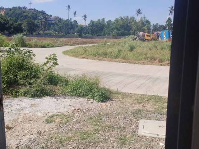 place photo 24