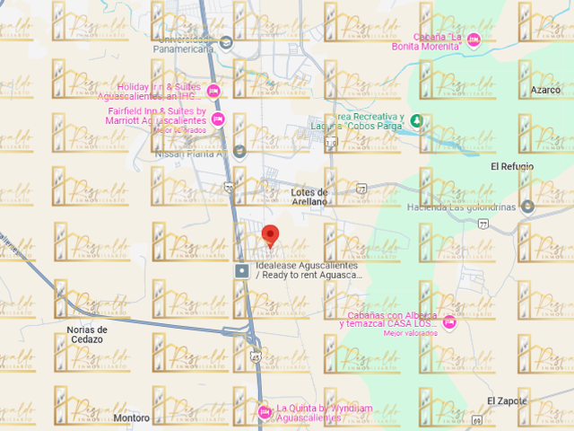 place photo 8