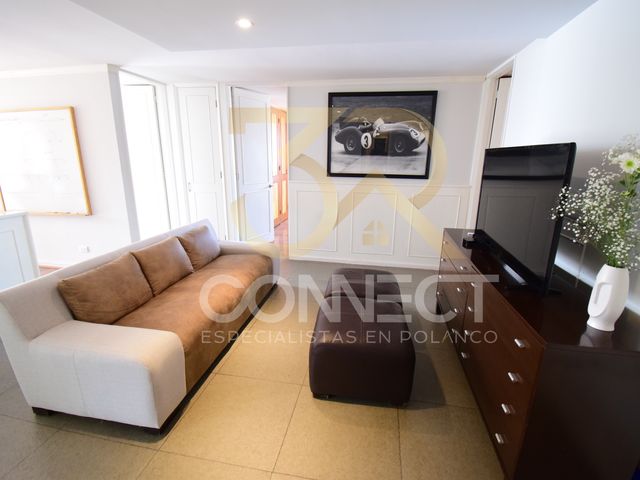 place photo 40