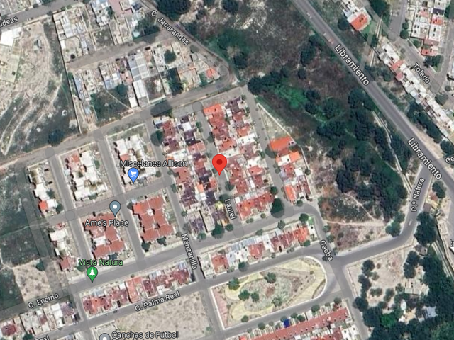place photo 7