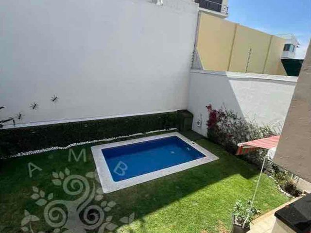 place photo 39