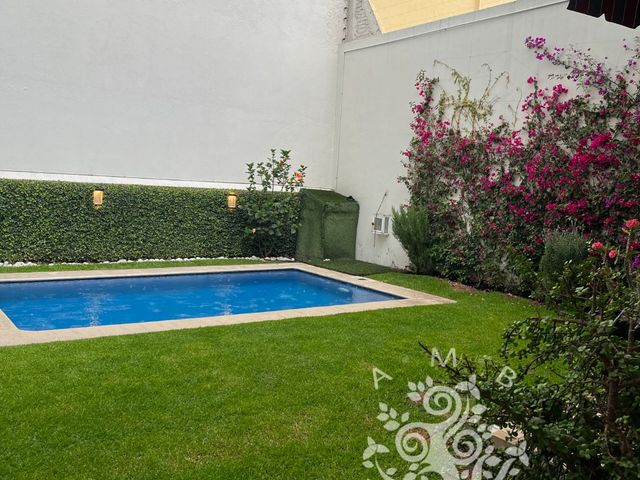place photo 40