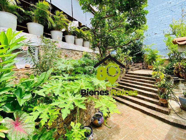 place photo 19