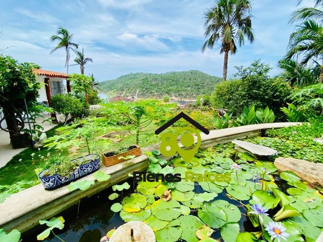 place photo 21