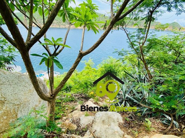 place photo 44
