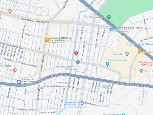 place photo 14