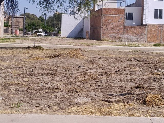 place photo 42