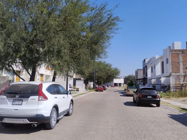 place photo 46
