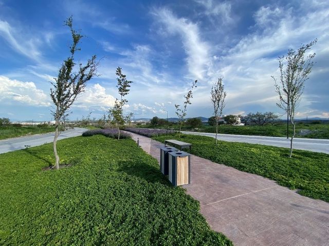 place photo 19