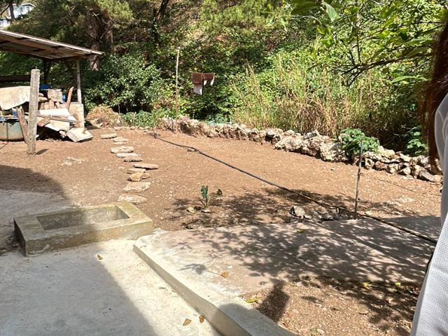place photo 24