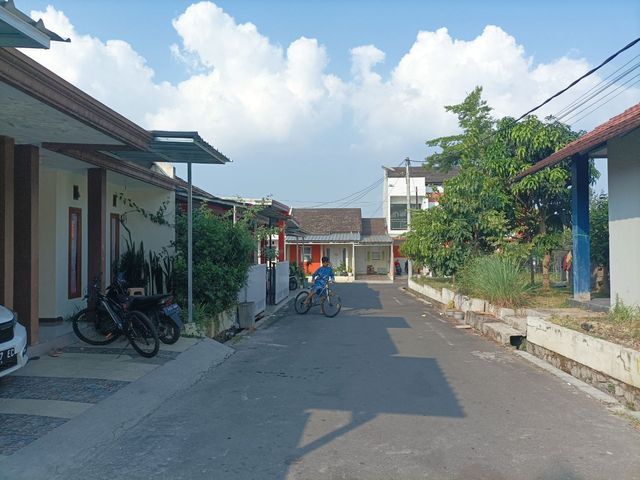 place photo 17