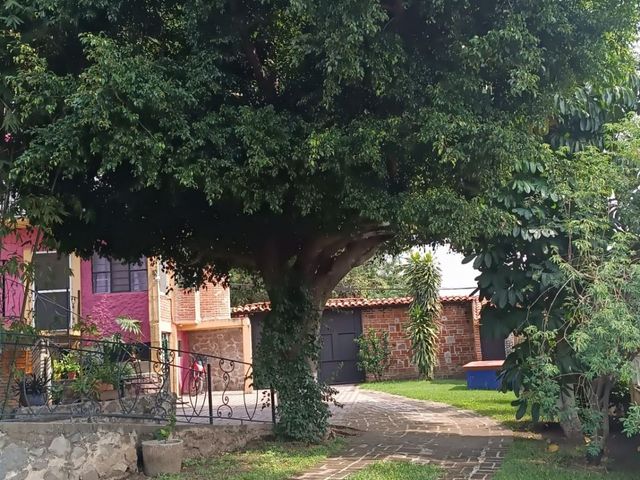 place photo 38
