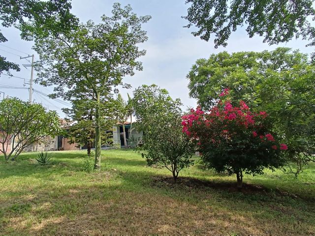 place photo 39