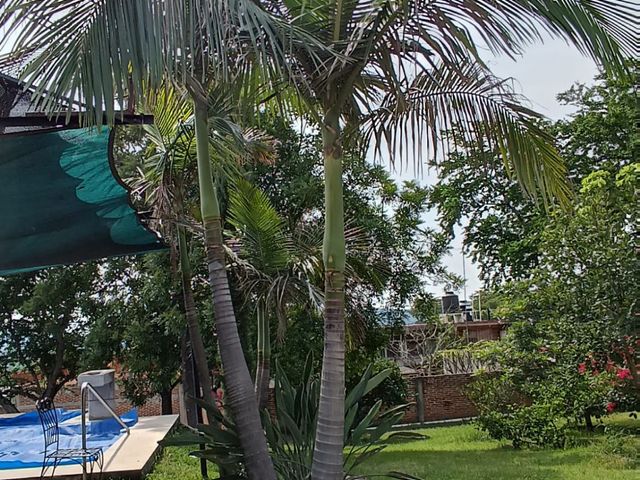 place photo 45