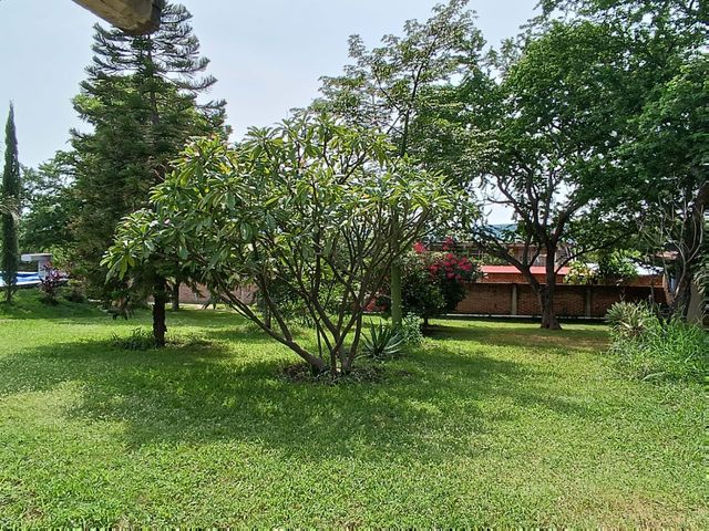 place photo 47