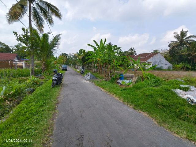 place photo 6