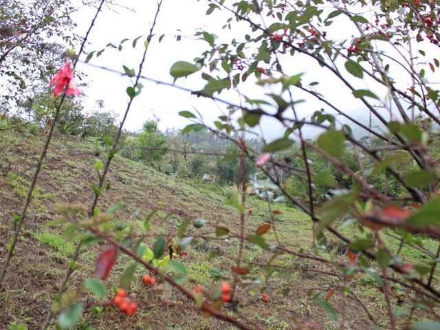 place photo 28