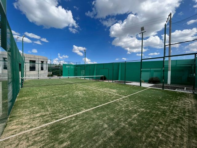 place photo 41