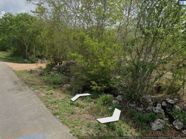 place photo 3