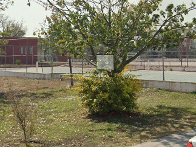 place photo 12
