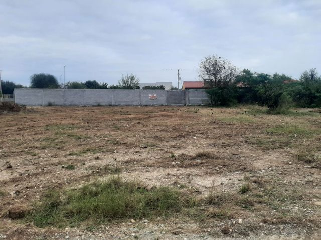 place photo 40