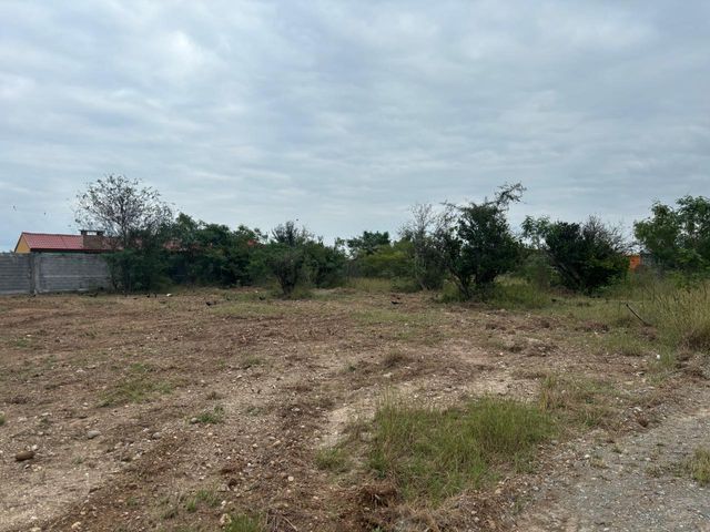 place photo 47