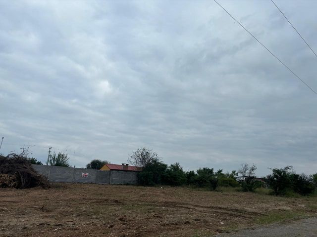place photo 50