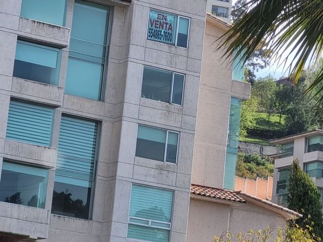 place photo 46