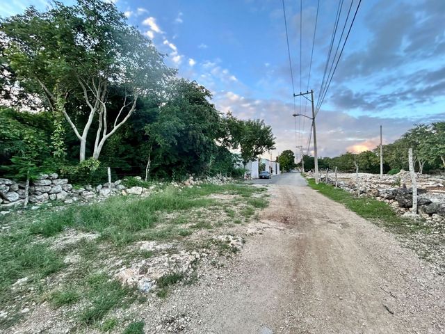 place photo 7