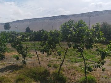 place photo 21