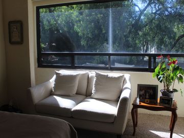 place photo 61