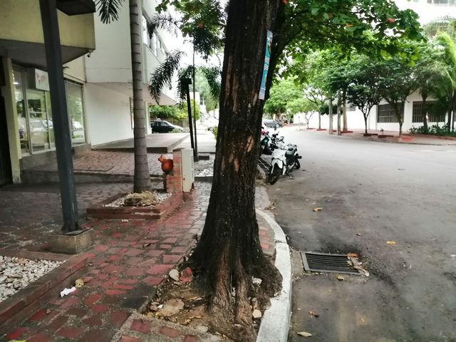 place photo 17