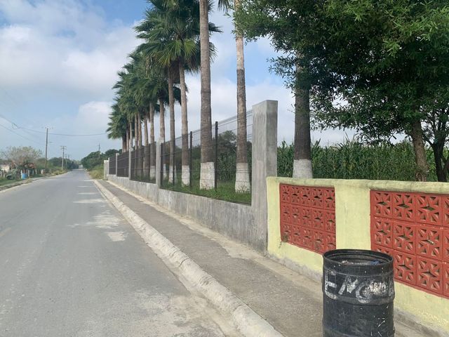 place photo 30