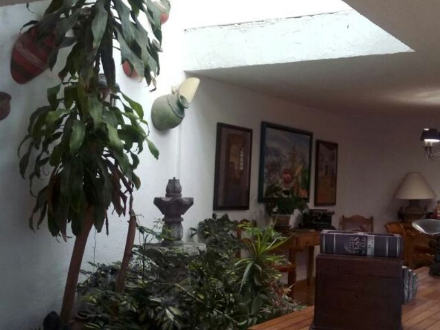 place photo 25