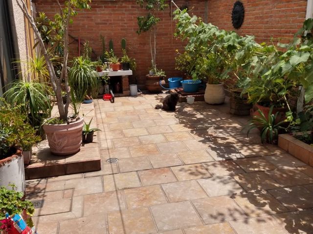 place photo 19